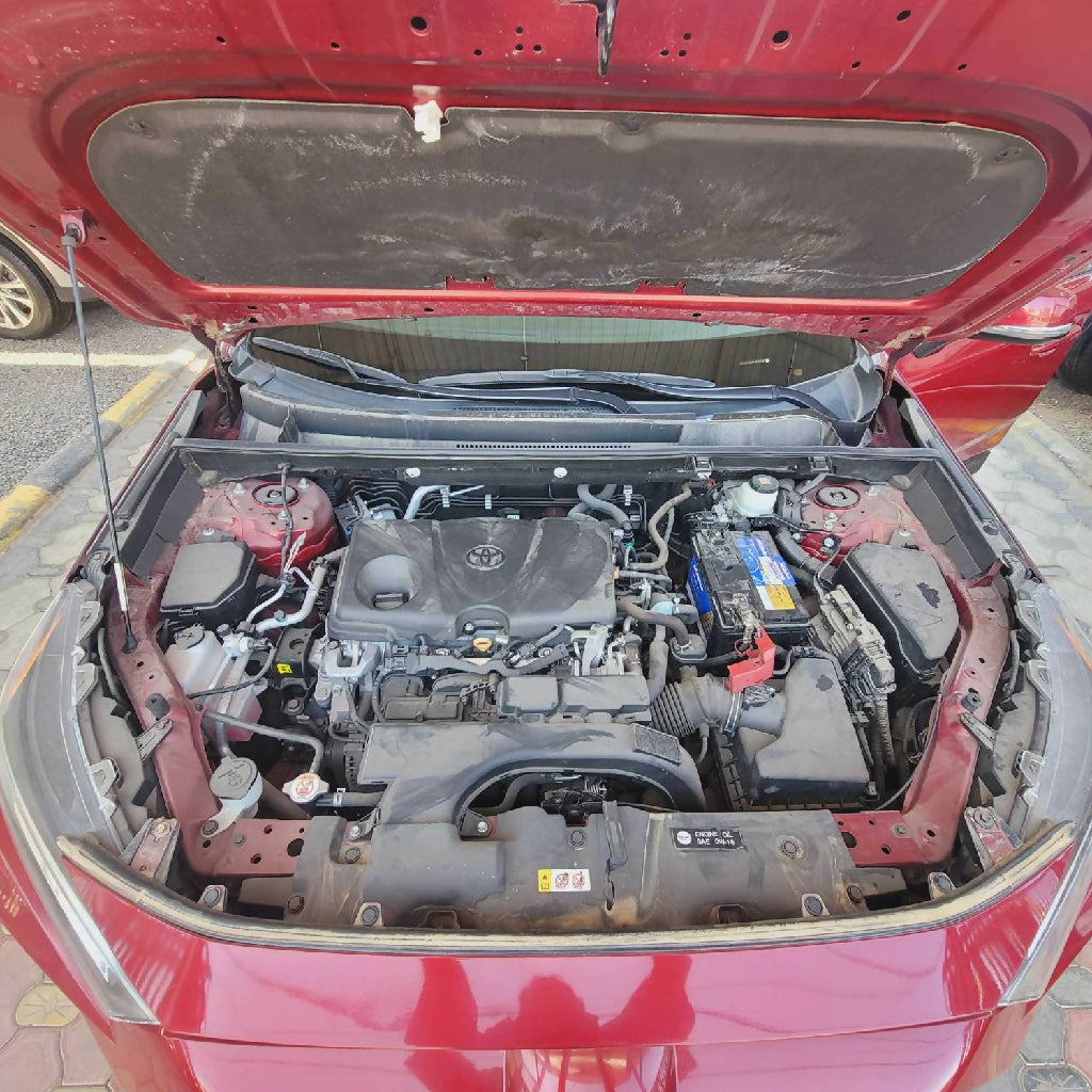 ٢٠٢٤١١٠٩_١١٣٧٤٨