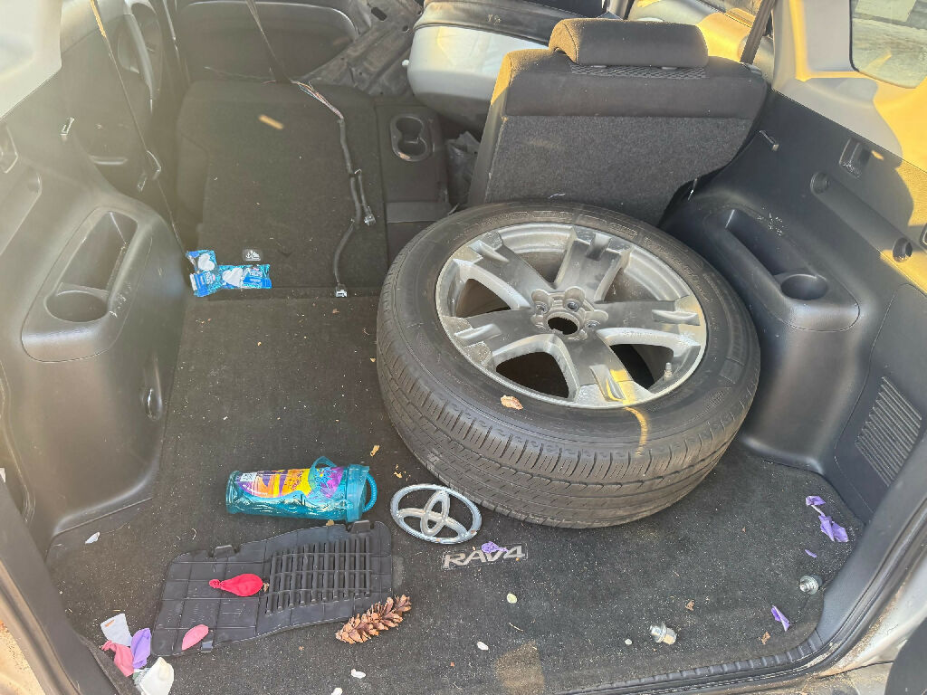 WhatsApp Image 2025-02-21 at 01.45.16_b01e47f3