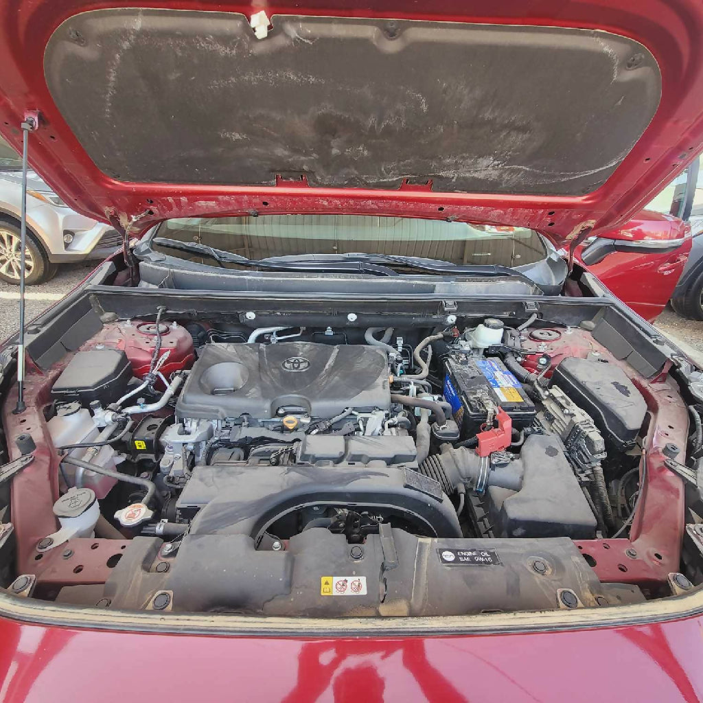 ٢٠٢٤١١٠٩_١١٣٨١٤