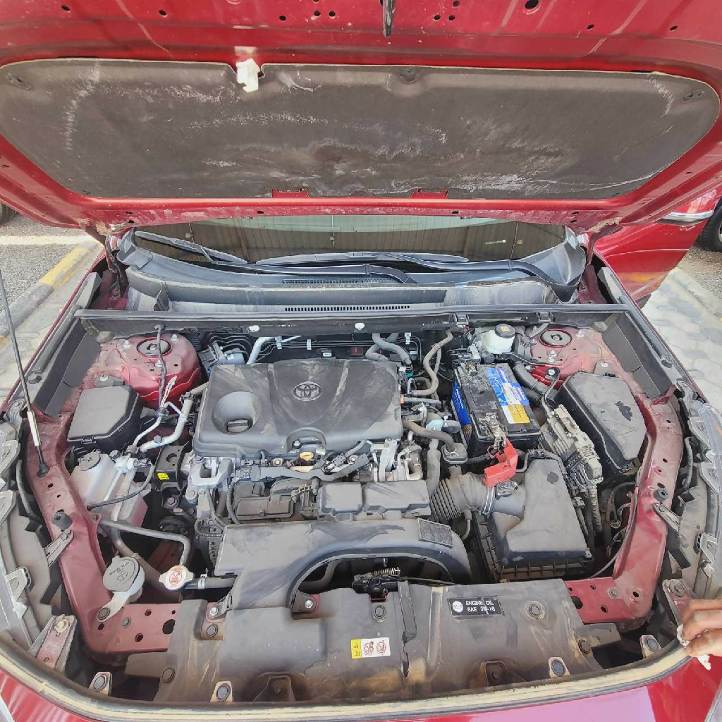 ٢٠٢٤١١٠٩_١١٣٨٠٥